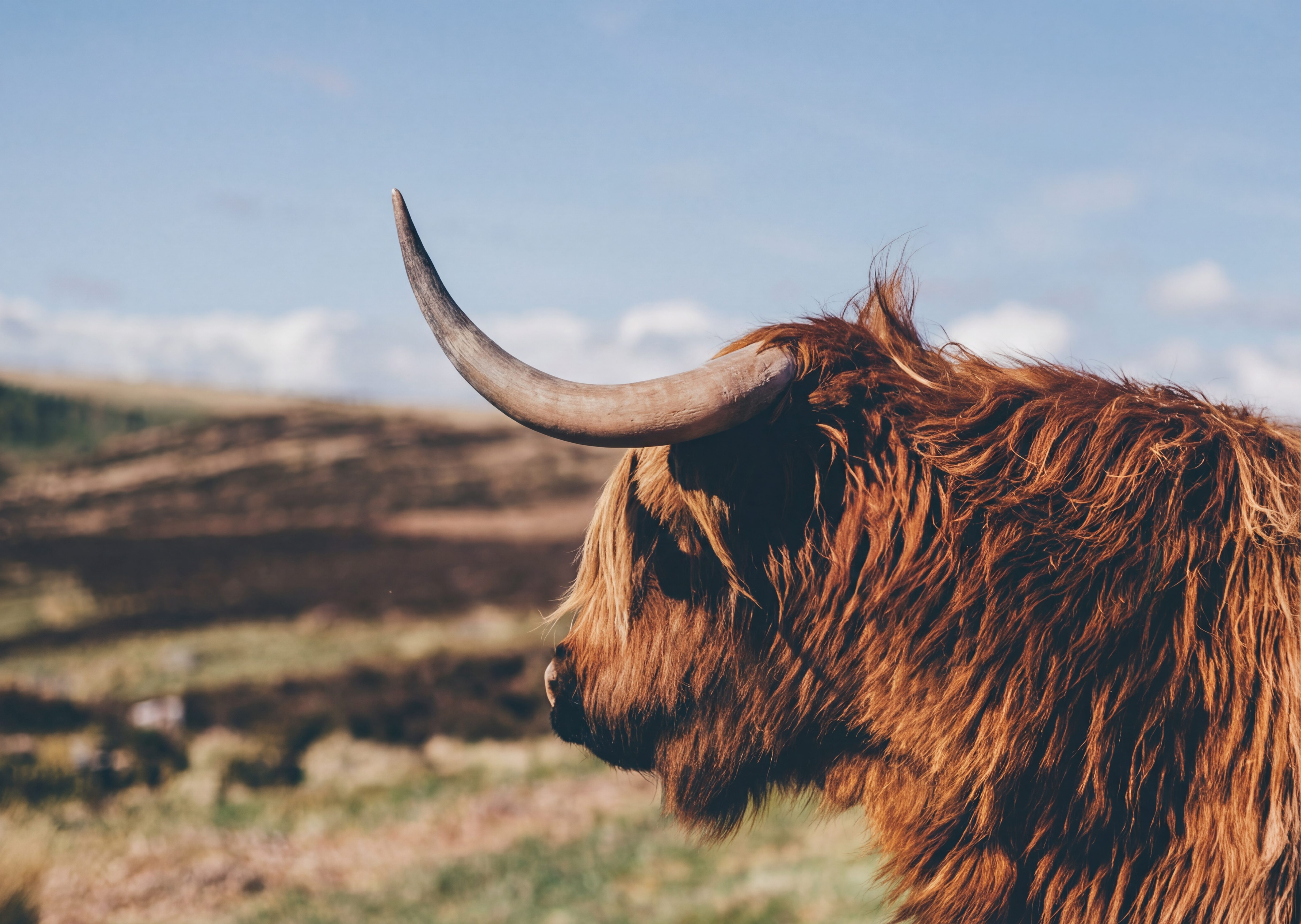 HD 写真コンバーター